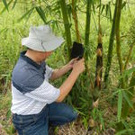 20141127 Fazenda Bambu visita pesquisador chinês e IAC 006.jpg