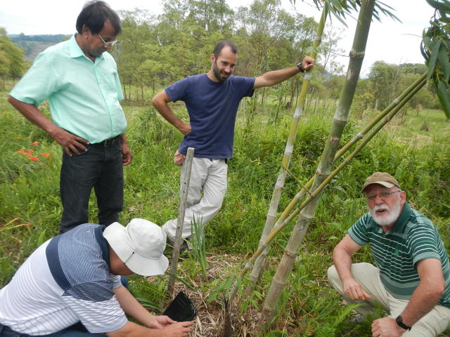 20141127 Fazenda Bambu visita pesquisador chinês e IAC 016.jpg