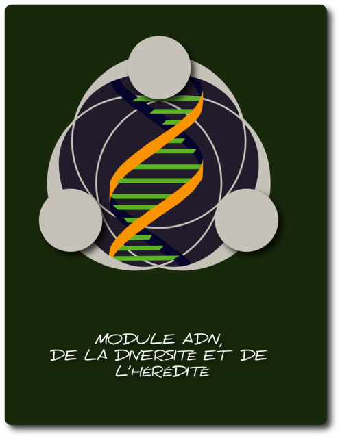 Módulo - DNA, Diversidade e Hereditaridade - fr