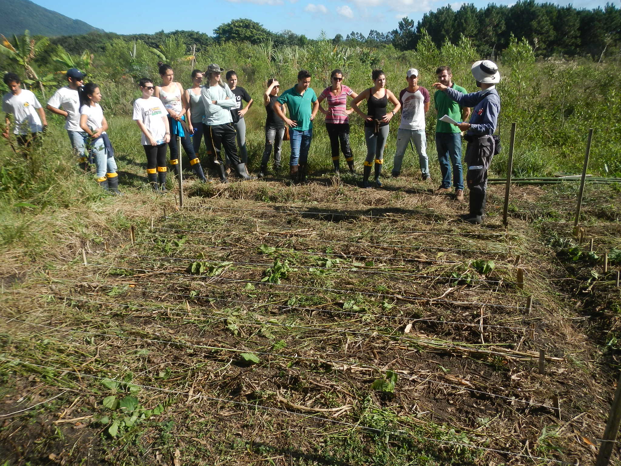 20150522 Fazenda Aula Agroecologia ADAE anuais limpeza 002.jpg