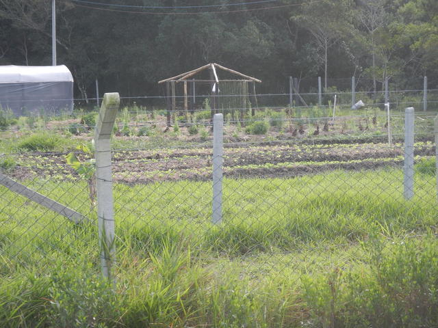 20150703 Fazenda Mandala Lecera construção do aviário agroecolog 002.jpg
