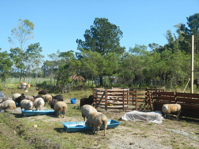 20150731 Fazenda Obra aprisco centro manejo ovinos ovelhas 003.jpg