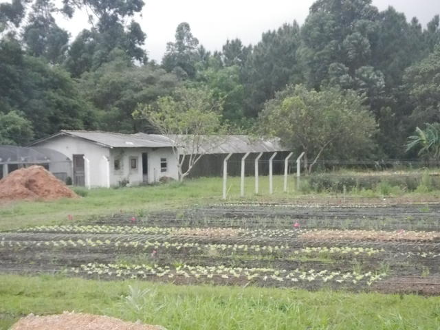 20151002 Fazenda Paisagem Horta olericultura.jpg