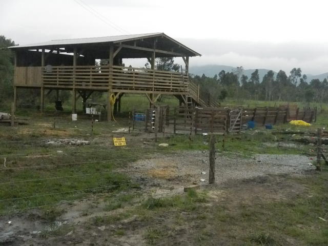 20151002 Fazenda Estrutura Ovinocultura aprisco Centro de Manejo.jpg