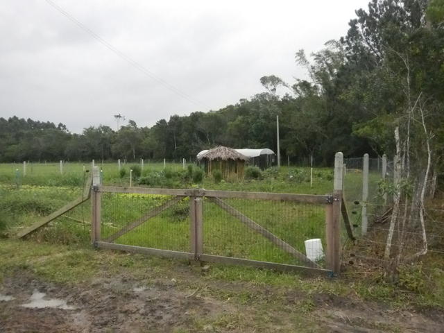 20151002 Fazenda Horta Mandala Lecera agroecologia orgânicos.jpg