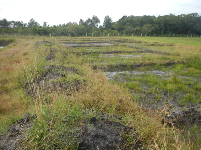 20160509 Fazenda área pivô açude quadras de arroz lavouras 004.jpg