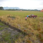 20160509 Fazenda área pivô açude quadras de arroz lavouras 005.jpg