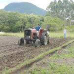 20161024 Fazenda preparo área agroecologia Experimento Diego doc 005.jpg