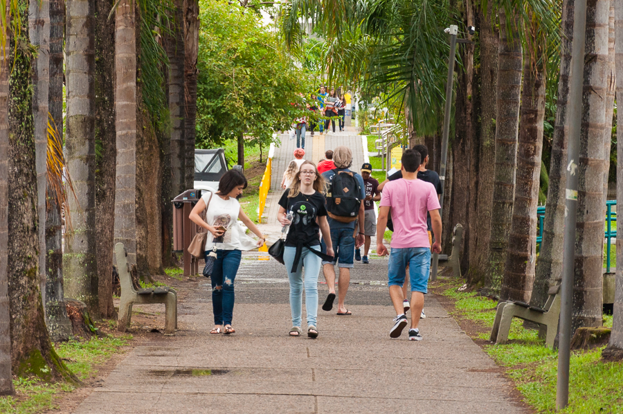 Campus Florianópolis - Foto Henrique Almeida