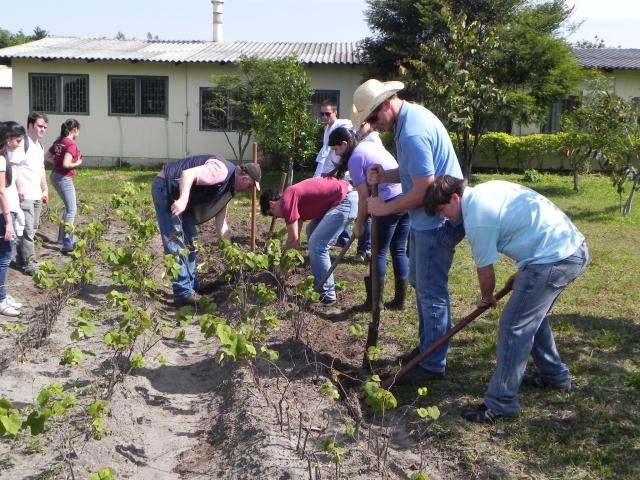 20100824 Fazenda Aulas Irrigação e Horticultura 019.jpg