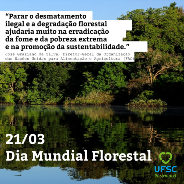 Design sem nome
