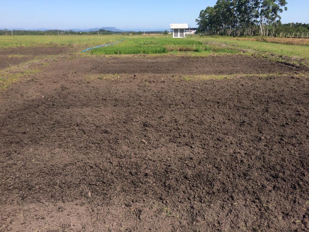 2019-01-23 Fazenda preparo área arrozeira