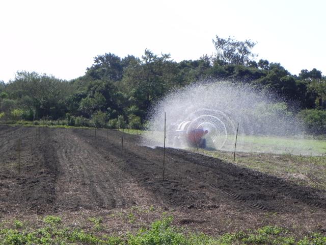 20100712 Fazenda Distribuidor de esterco usado para irrigação 2.jpg