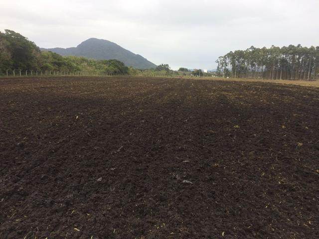 20180802 Fazenda preparo área do pivô para plantio lavoura (3)
