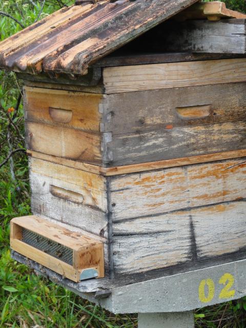 20120117 Fazenda apicultura coletor pólen.jpg