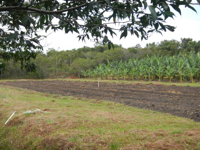 20120816 Fazenda Área preparada para Melancias e Bananal.jpg