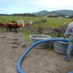 20120928 Fazenda Bovinocultura abastecimento água dessedentação 001.jpg