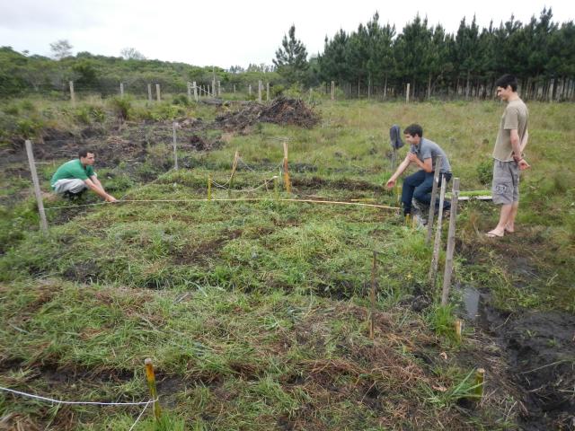 20121005 Fazenda Aula Agroecologia plantio de verão 020.jpg