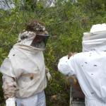 20121017 Fazenda Apicultura abelhas prática doutorado RGV 001.jpg