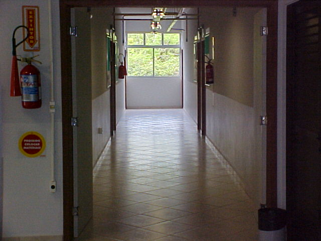 Vista interna prédio Departamento de Aquicultura – CCA - 2.jpg