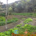 20120519 Permacultura Anitapolis Sitio Silva Aula 023.jpg