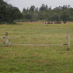 20140625 Fazenda Ovinocultura Ovelhas 002.jpg