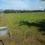 20140815 Fazenda Ovinocultura área nova e cercas 006.jpg