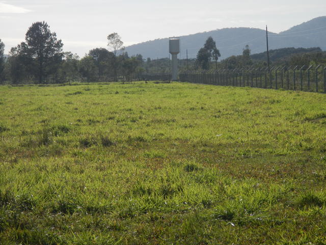 20140815 Fazenda Ovinocultura área nova e cercas.jpg