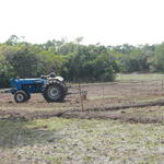 20141010 Fazenda Lavouras preparo área para arroz irrigado 004.jpg