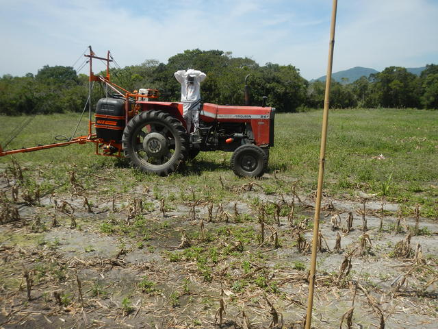 20141010 Fazenda Mecanização experimento lavoura milho herbicida 001.jpg