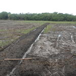 20141015 Fazenda Lavouras área para arroz irrigado 003.jpg