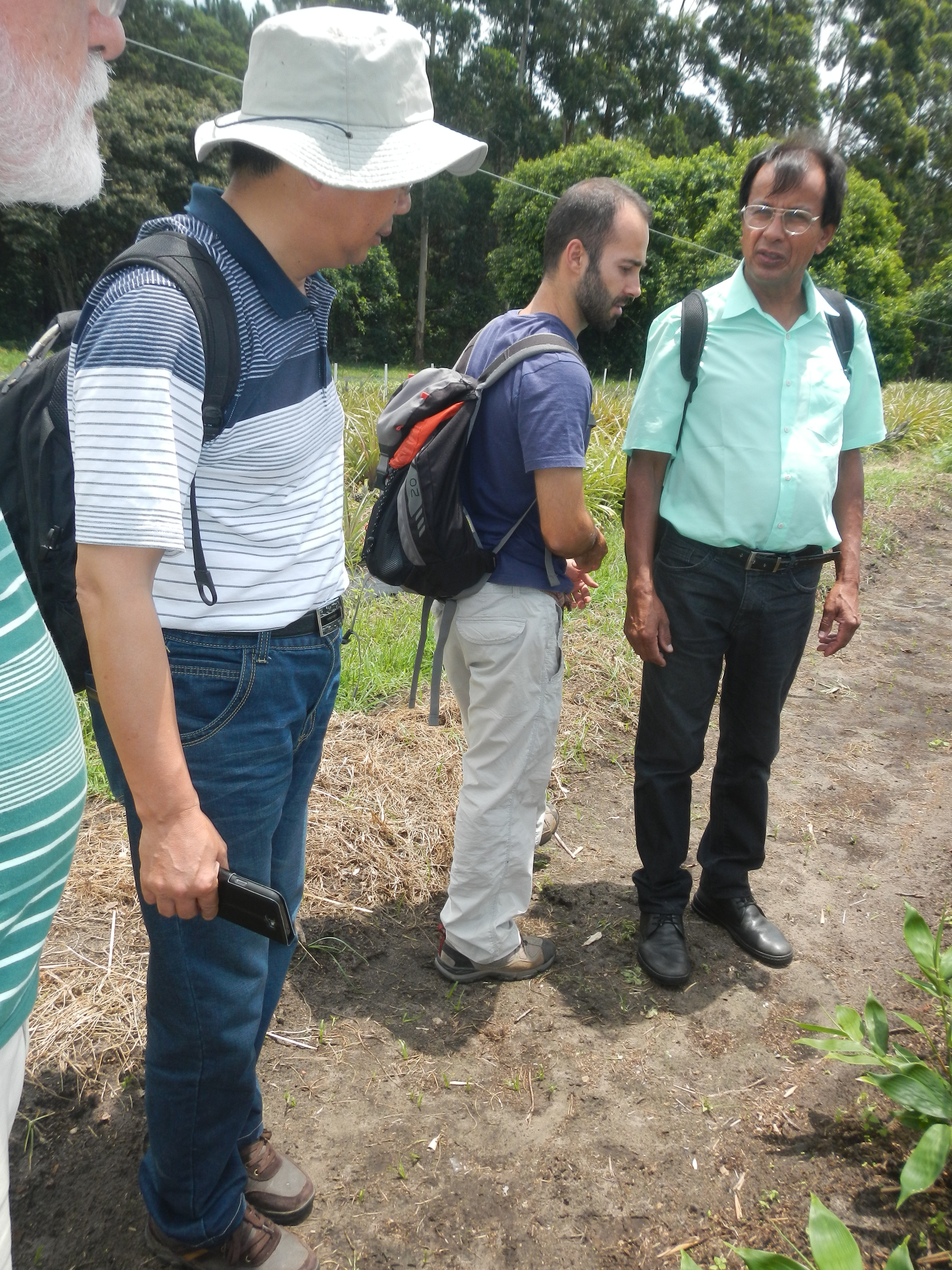 20141127 Fazenda Bambu visita pesquisador chinês e IAC 001.jpg