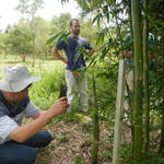 20141127 Fazenda Bambu visita pesquisador chinês e IAC 004.jpg