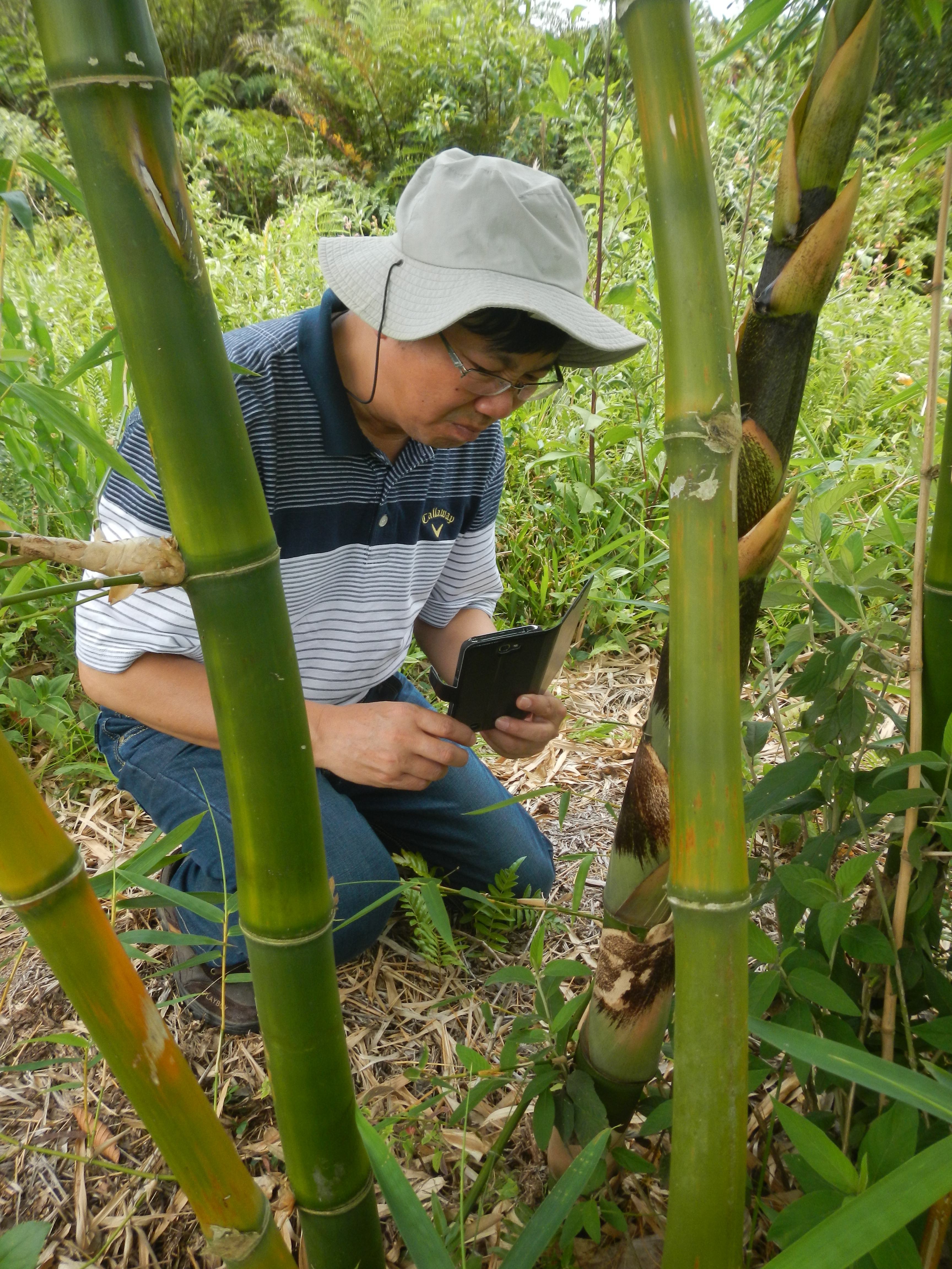 20141127 Fazenda Bambu visita pesquisador chinês e IAC 005.jpg