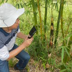 20141127 Fazenda Bambu visita pesquisador chinês e IAC 007.jpg