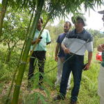 20141127 Fazenda Bambu visita pesquisador chinês e IAC 008.jpg