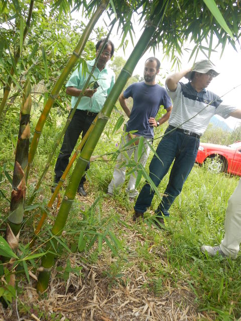 20141127 Fazenda Bambu visita pesquisador chinês e IAC 009.jpg