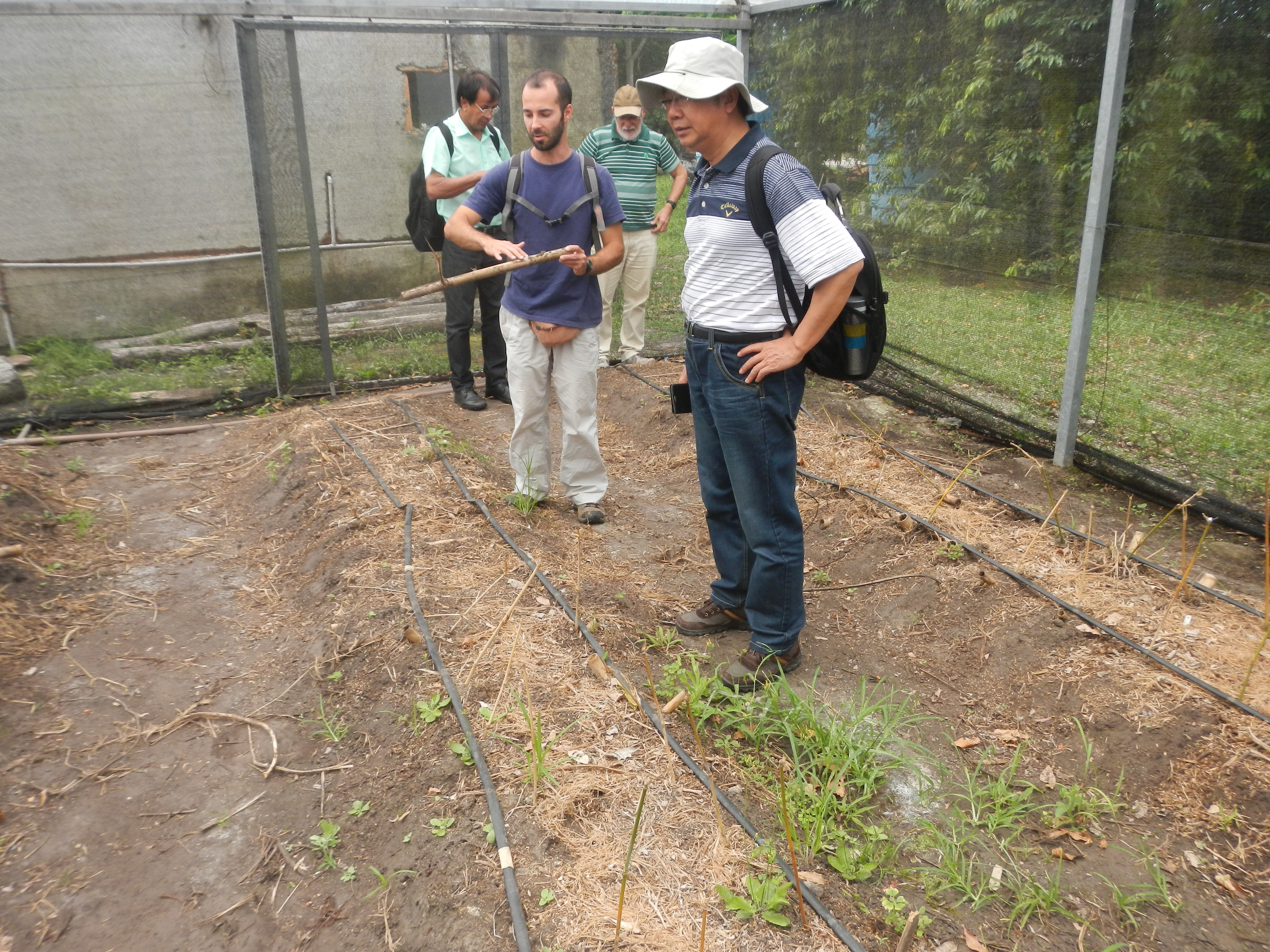 20141127 Fazenda Bambu visita pesquisador chinês e IAC 011.jpg