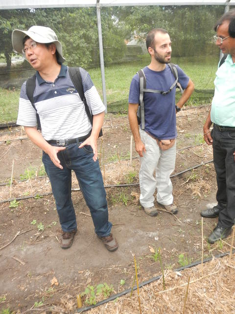 20141127 Fazenda Bambu visita pesquisador chinês e IAC 012.jpg