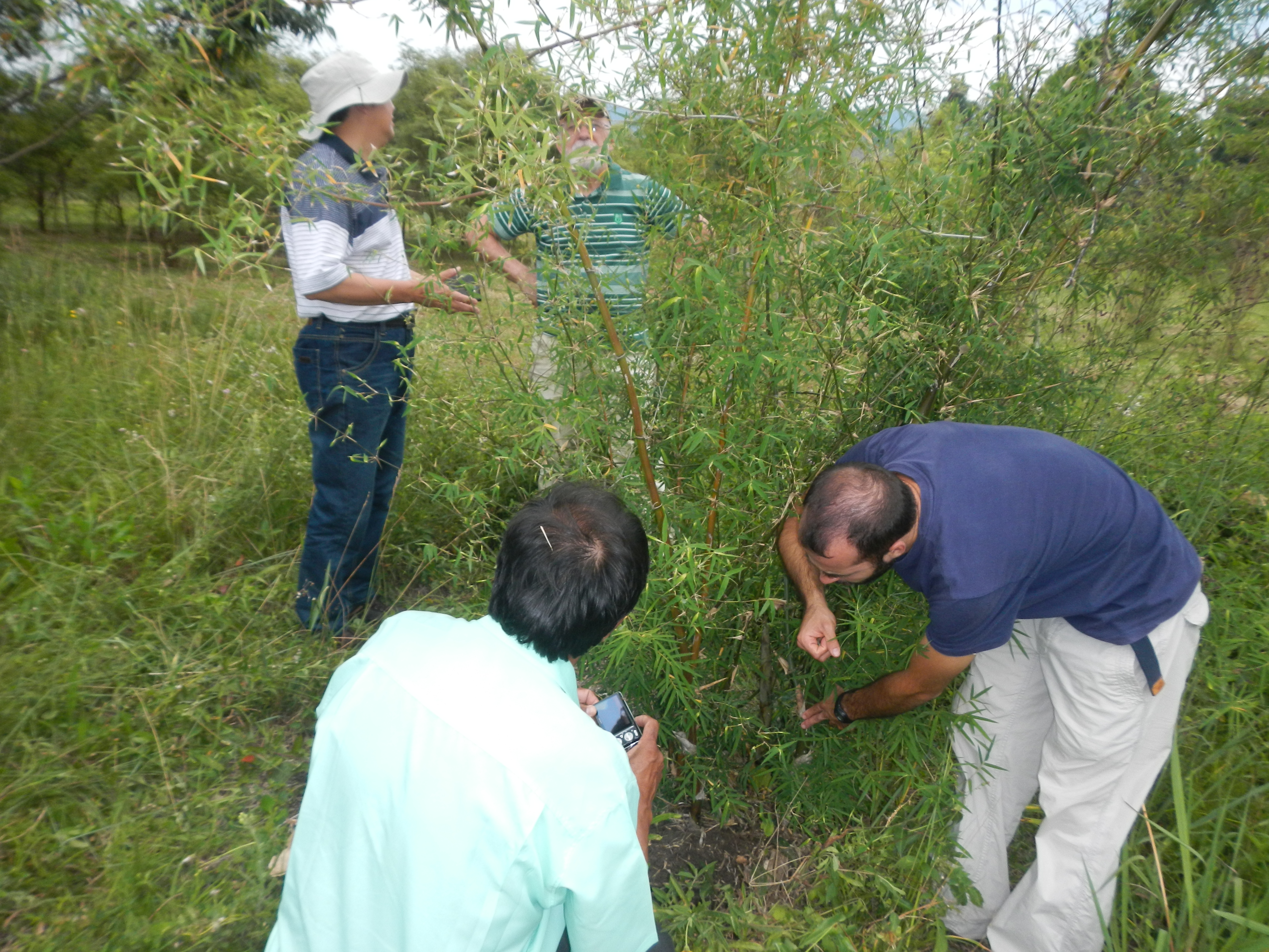 20141127 Fazenda Bambu visita pesquisador chinês e IAC 018.jpg