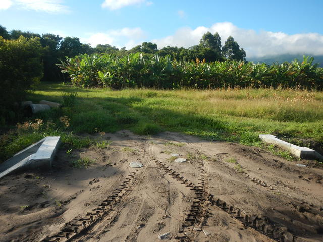 20150219 Fazenda Fruticultura Bananal e bueiro passagem.jpg