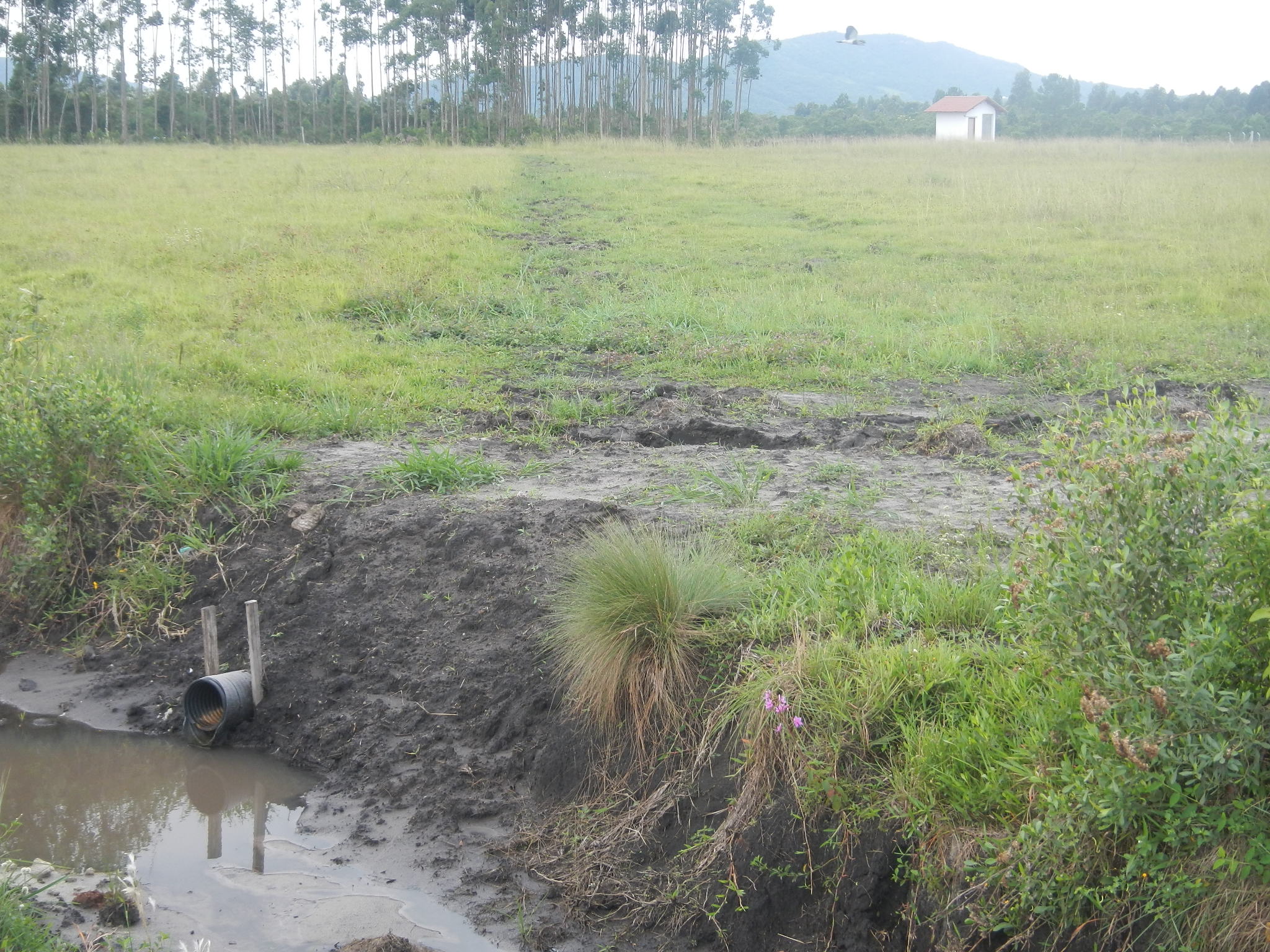 20150306 Fazenda Obras drenagem pivô.jpg