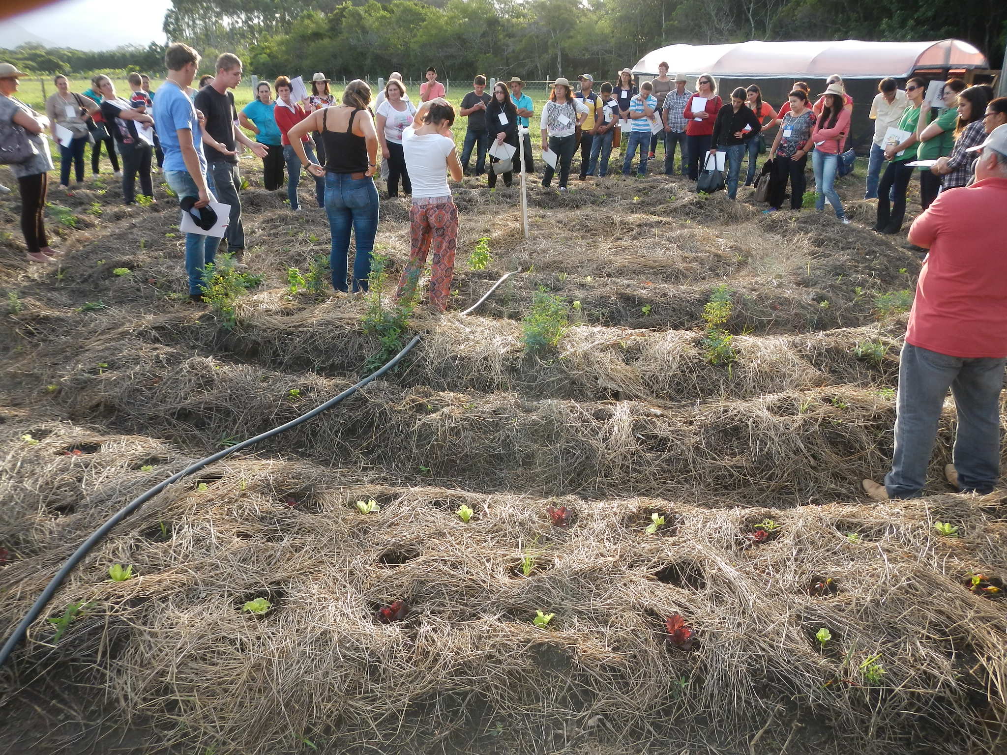 20150407 Fazenda Lecera Agricultores Aula Horta Mandala 009.jpg