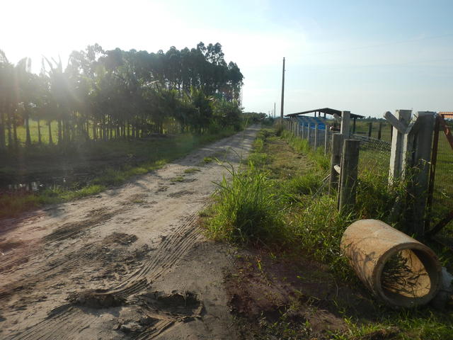 20150415 Fazenda Palmeira-real estrada Obras expansão elétrica 001.jpg