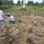 20150430 Fazenda Horta Mandala Agroecologia Lecera 001.jpg