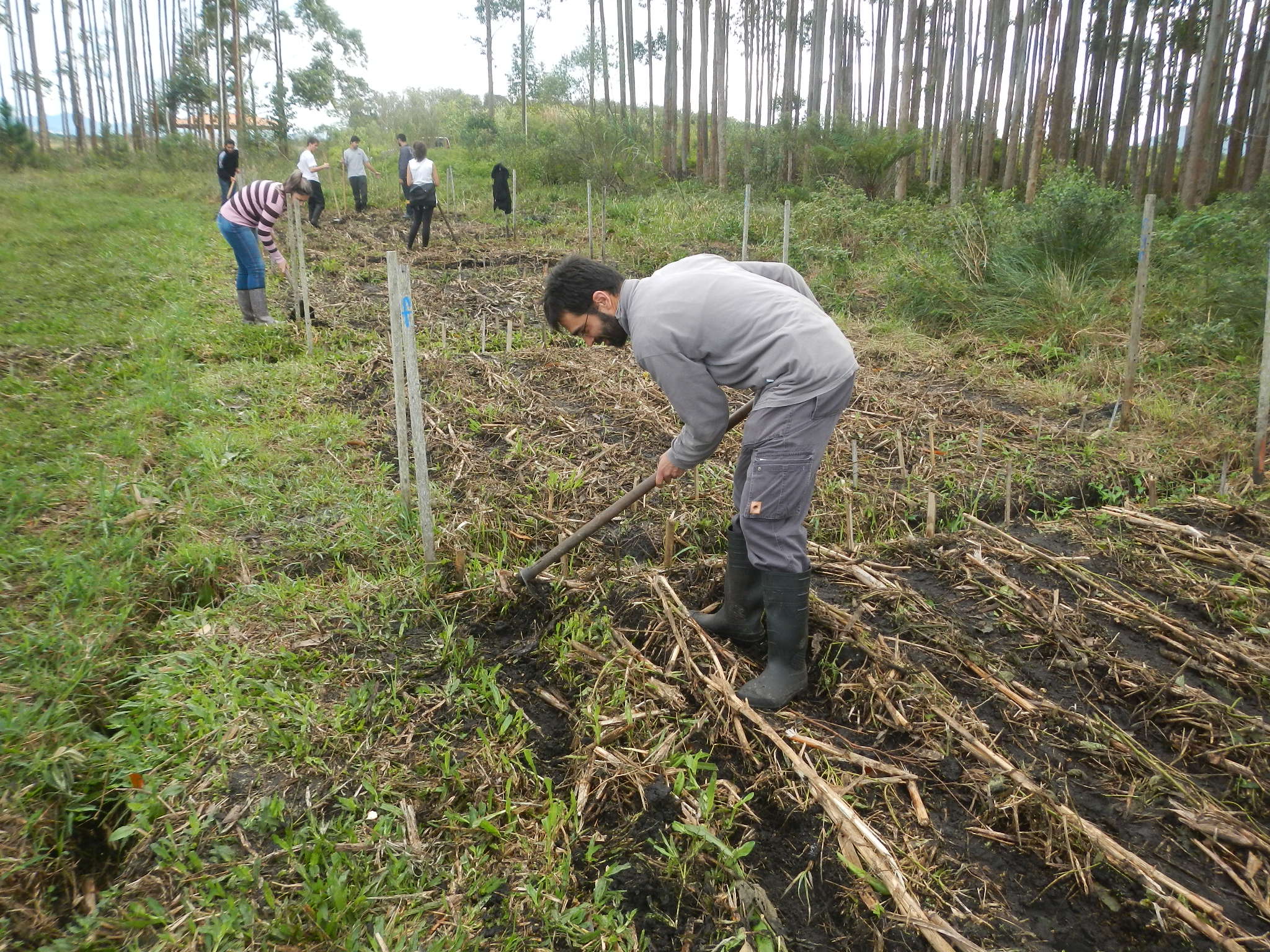 20150529 Fazenda Aula Agroecologia ADAE preparo semadura anuais 002.jpg