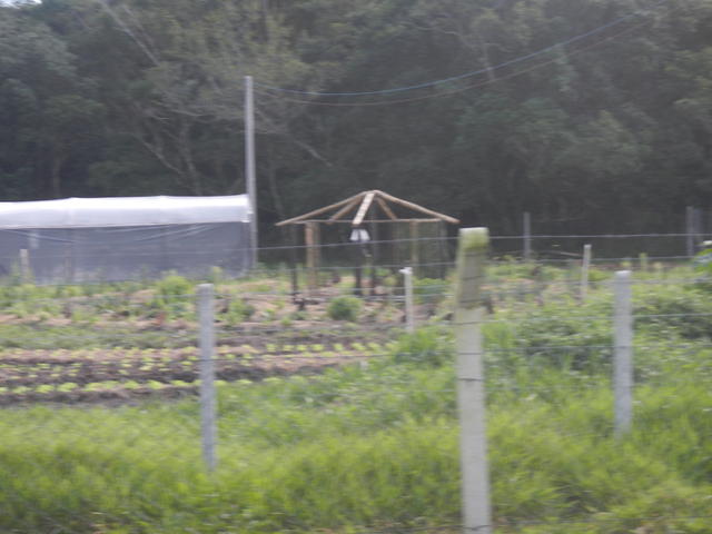 20150703 Fazenda Mandala Lecera construção do aviário agroecolog 001.jpg
