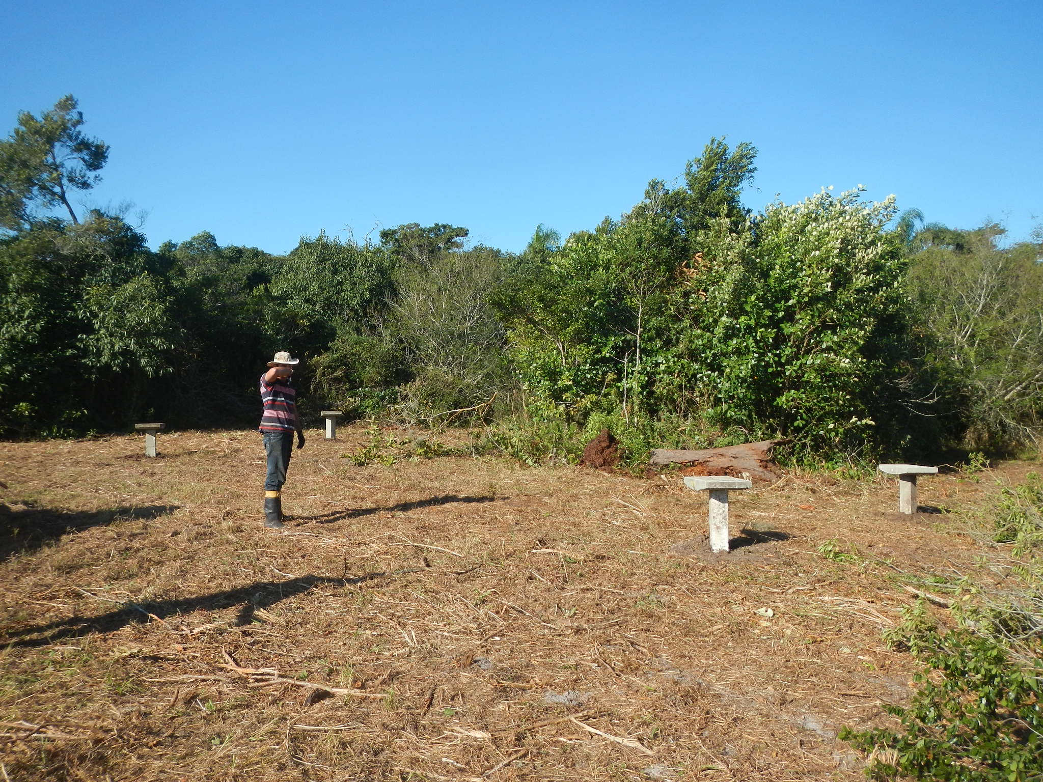 20150703 Fazenda apicultura preparo área nova colocação bases 001.jpg
