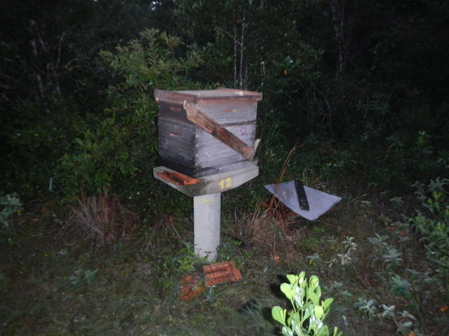 20150709 Fazenda Apicultura trasnferência do apiário local novo 002.jpg