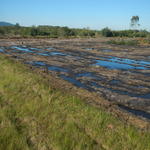 20150730 Fazenda Futura área do novo bambuseto preparada 003.jpg